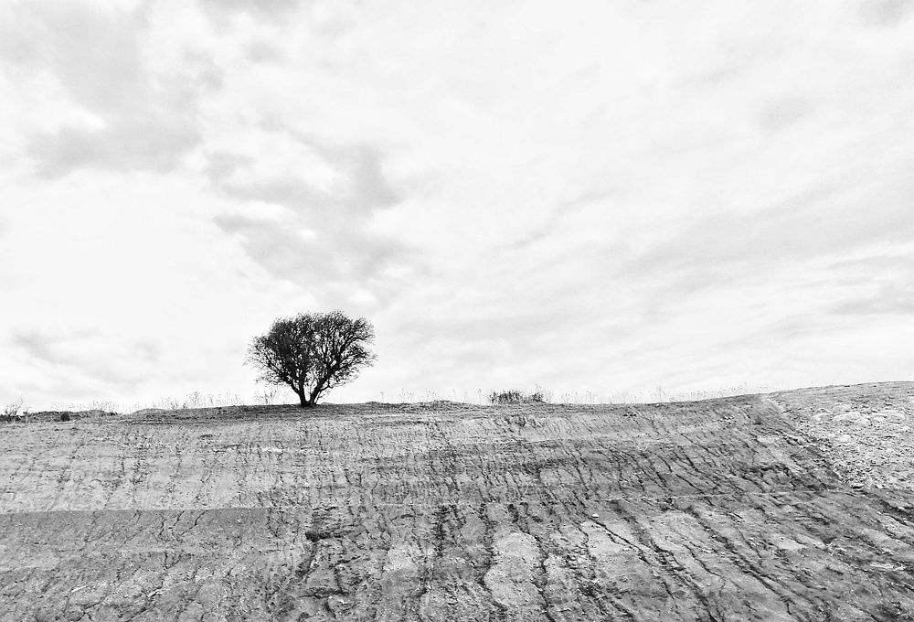 Photograph by Azzeddine Memmou