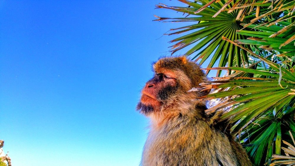 Фотография автора Ian Heard