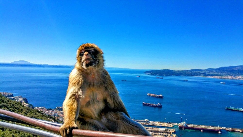 Фотография автора Ian Heard