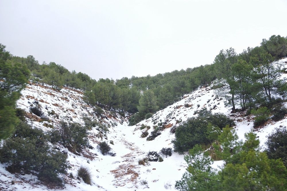 Photograph by Azzeddine Memmou