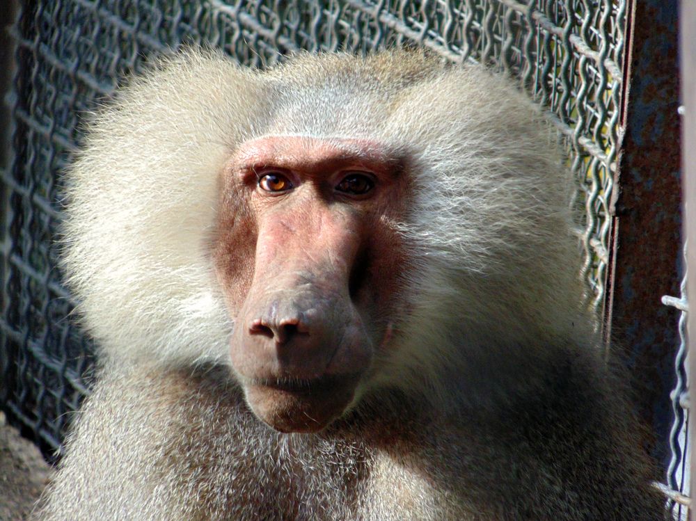 Photograph by Татьяна Стаскевич