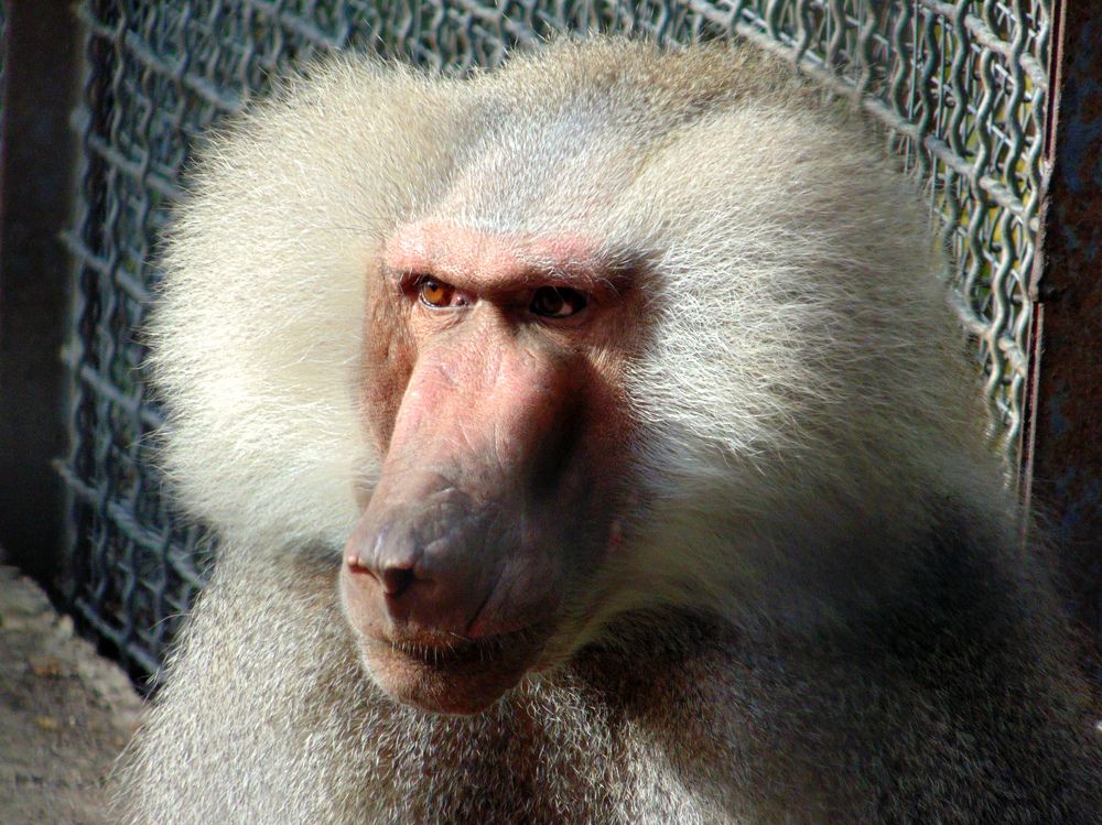 Photograph by Татьяна Стаскевич