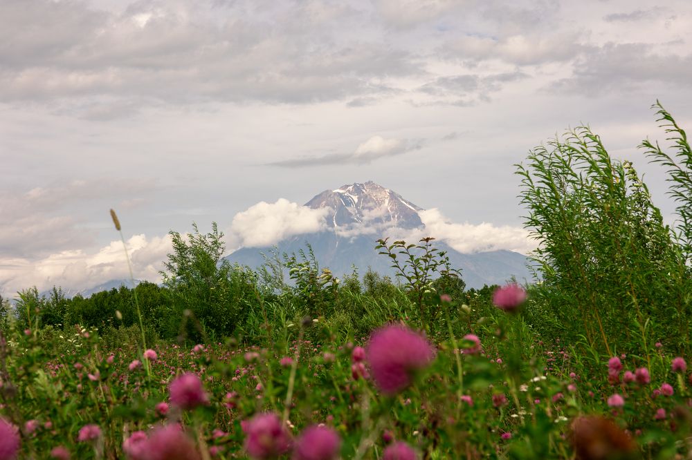 Photograph by Алексей Никитин