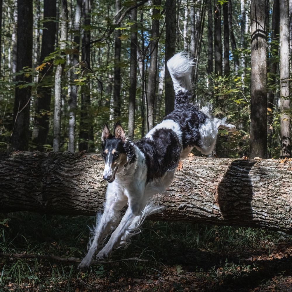 Photograph by Грамаков Юрий