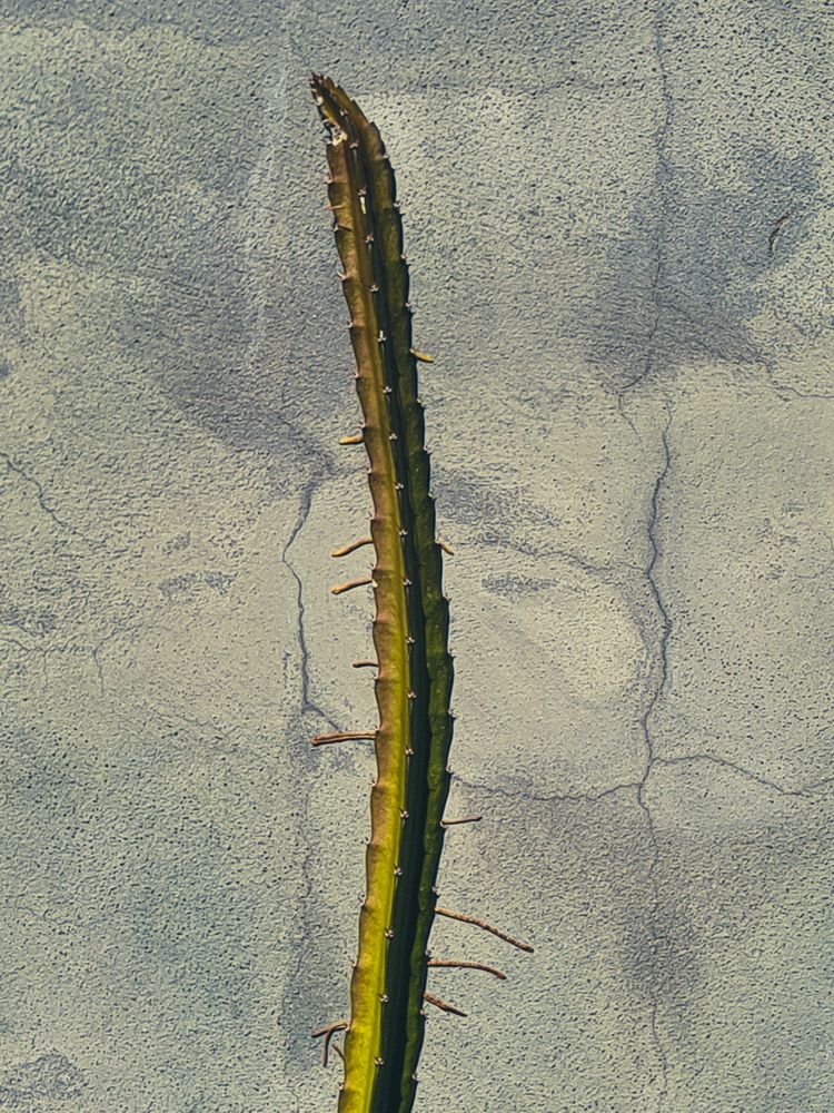 Photograph by Ирина Хлебникова
