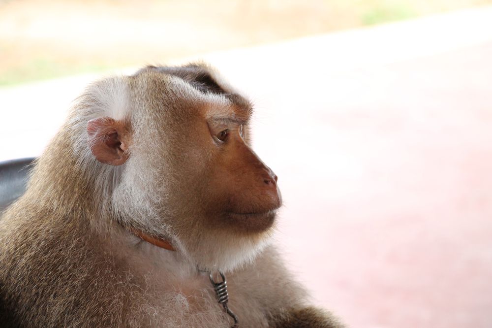 Photograph by Олег Филиппов