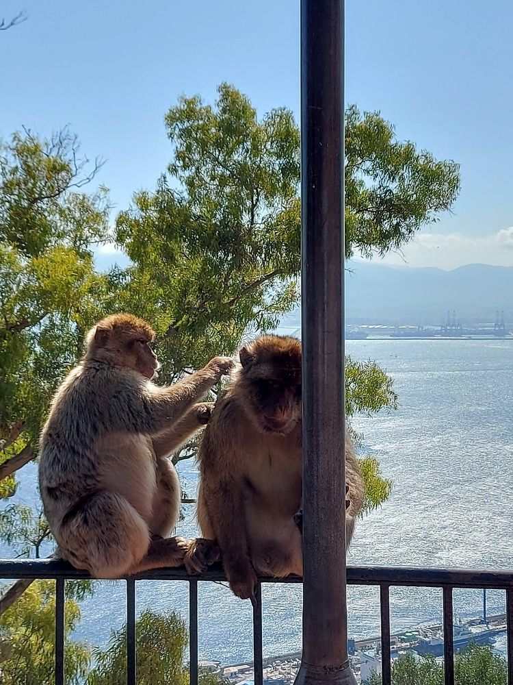 Photograph by Rosane Cortez