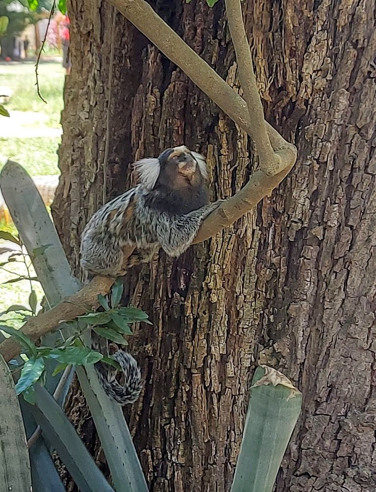 Photograph by Rosane Cortez