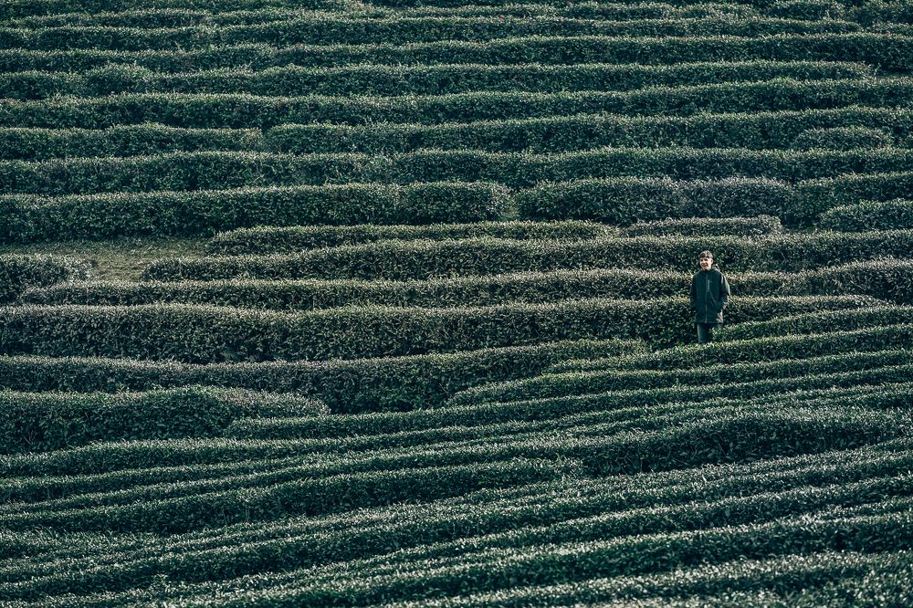 Photograph by Альфия Куликова