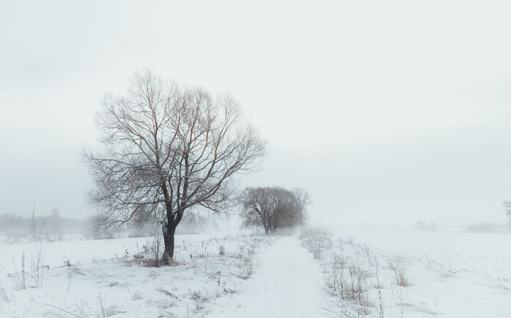 Photograph by Илья Замулин