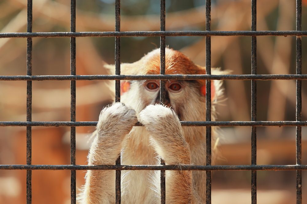 Photograph by Maxim Lip