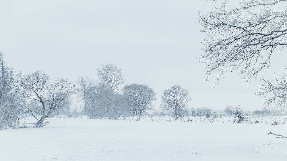 Photograph by Илья Замулин