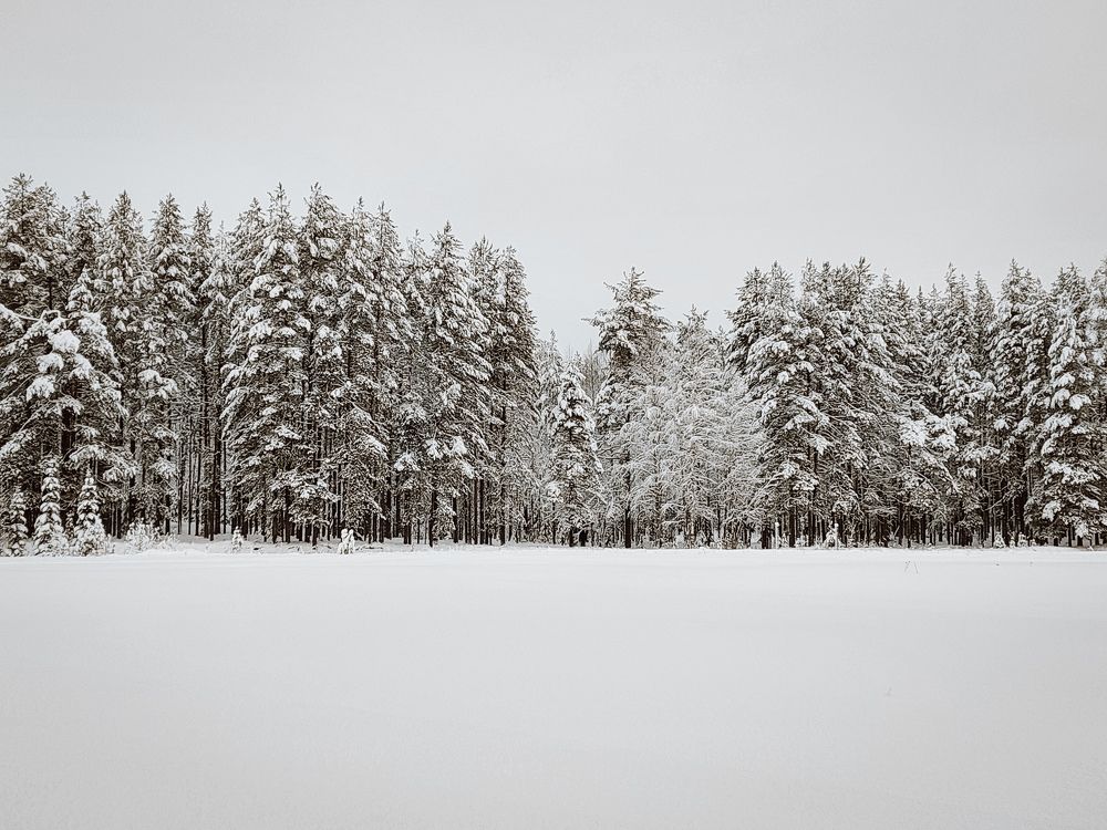 Photograph by Алёна Вороная