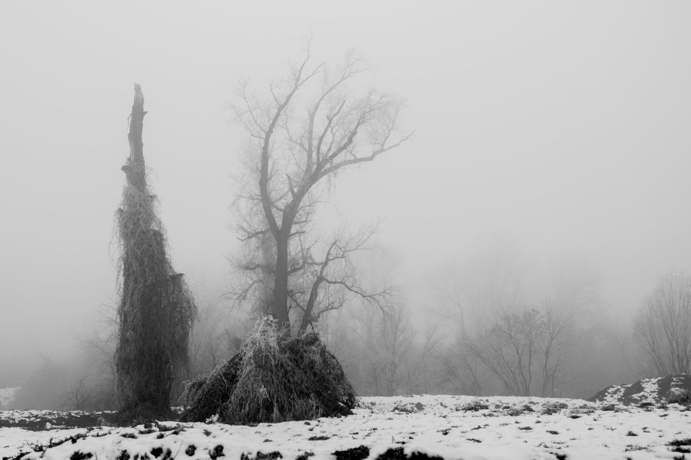 Photograph by Левичев Валетнин