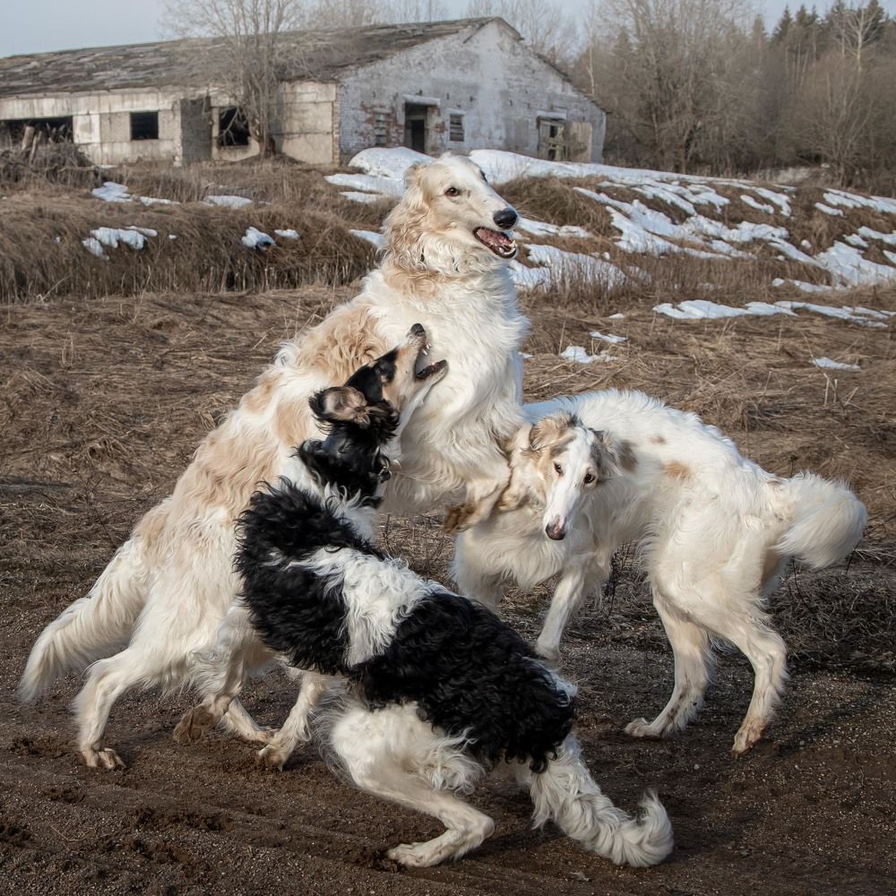 Photograph by Грамаков Юрий