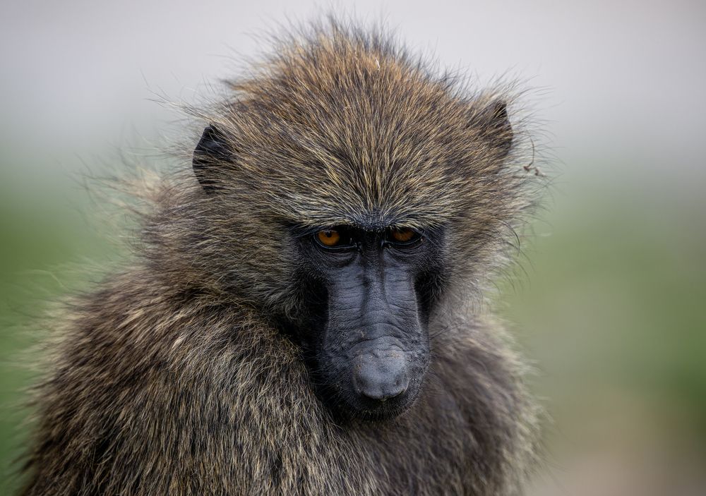 Photograph by Syed Ahmar Amjad