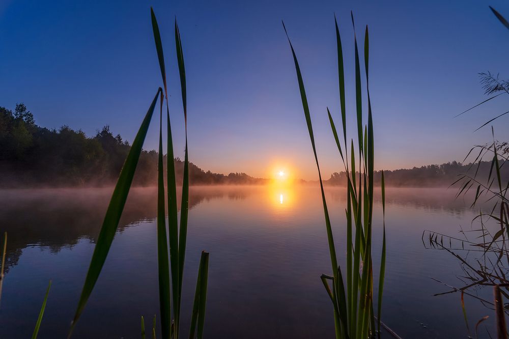 Photograph by Евгений Гонтов