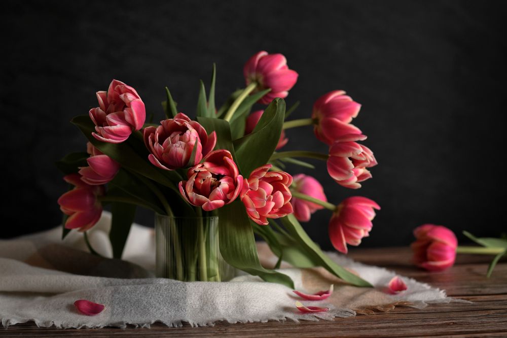 Photograph by Анна Штабель