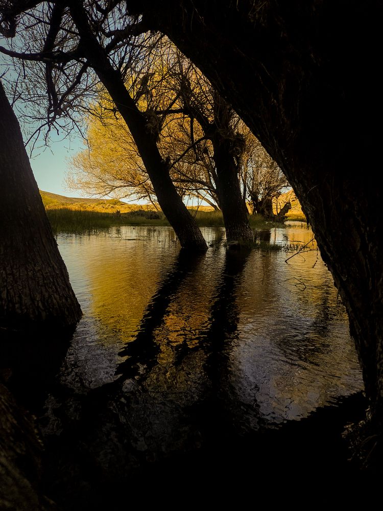 Photograph by BARBARA IVONNE MARTIN MILLAN