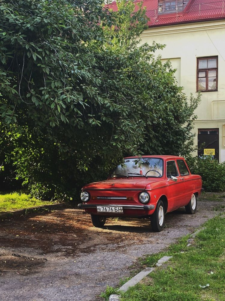 Фотография автора Анастасия Мешкова