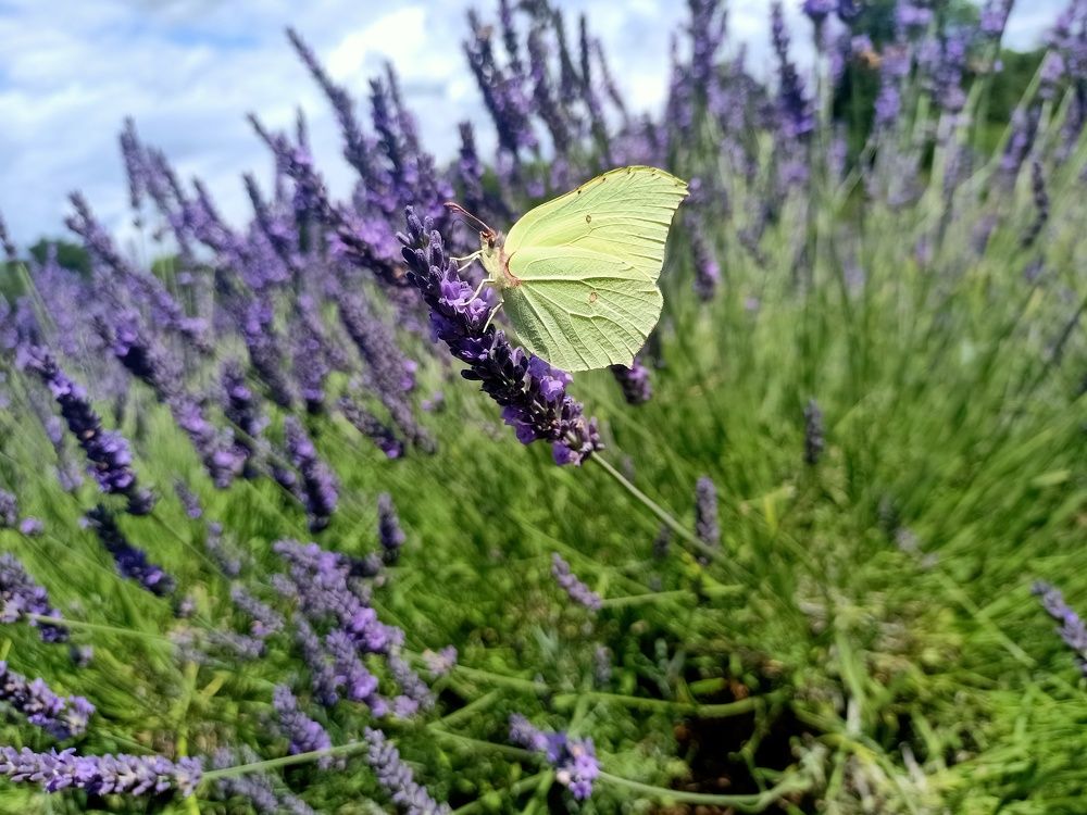 Photograph by MariaVittoria Amoruso