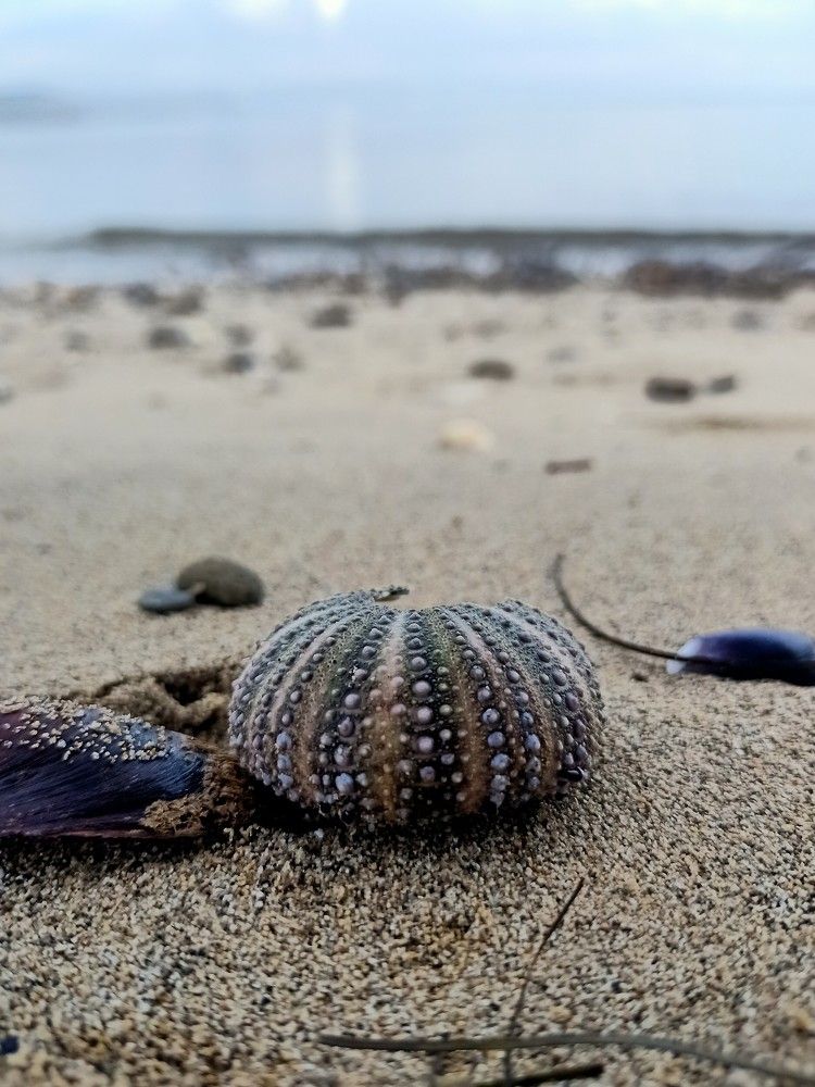 Photograph by MariaVittoria Amoruso