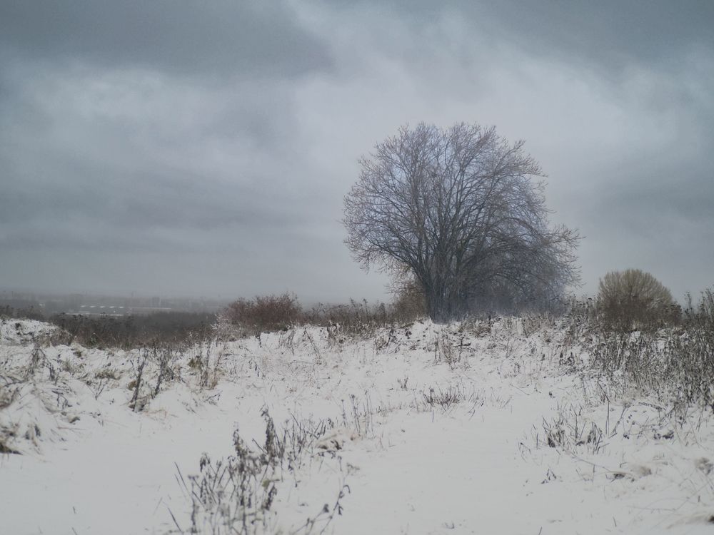 Photograph by Алекс Ти