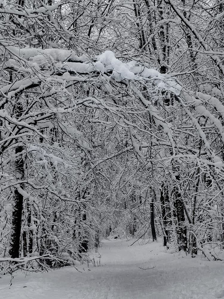 Photograph by Алекс Ти