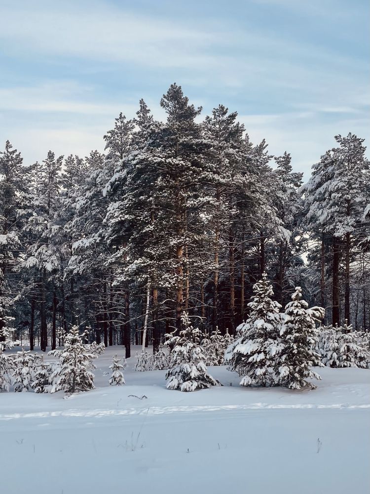 Photograph by Ольга Беспалько