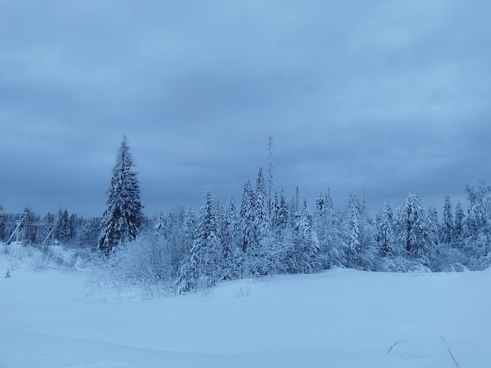 Photo #11707676