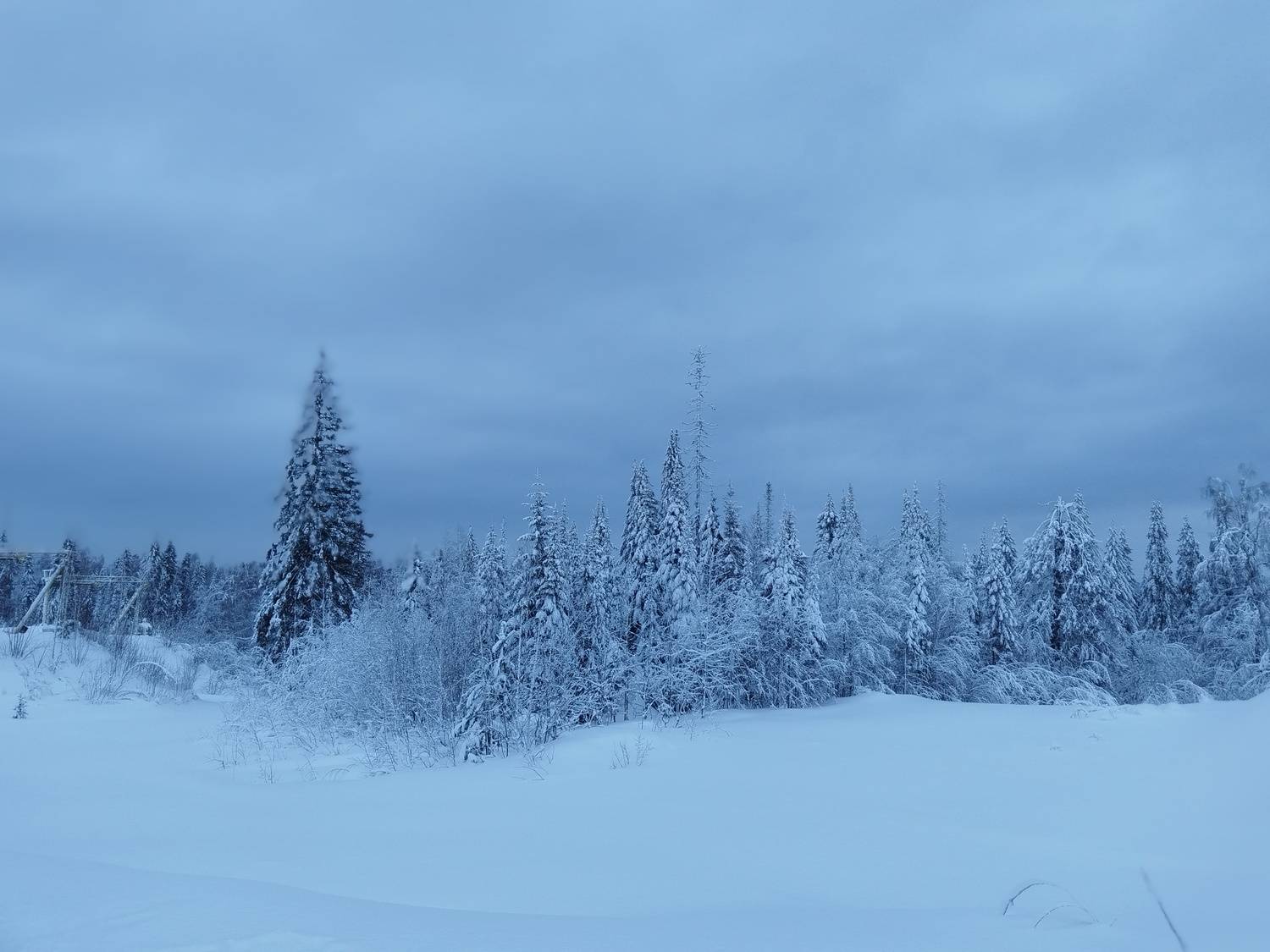 Photo #11707676