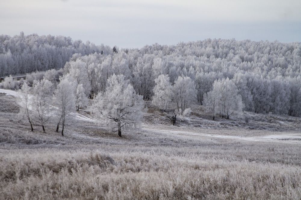 Фотография автора Козельский Сергей