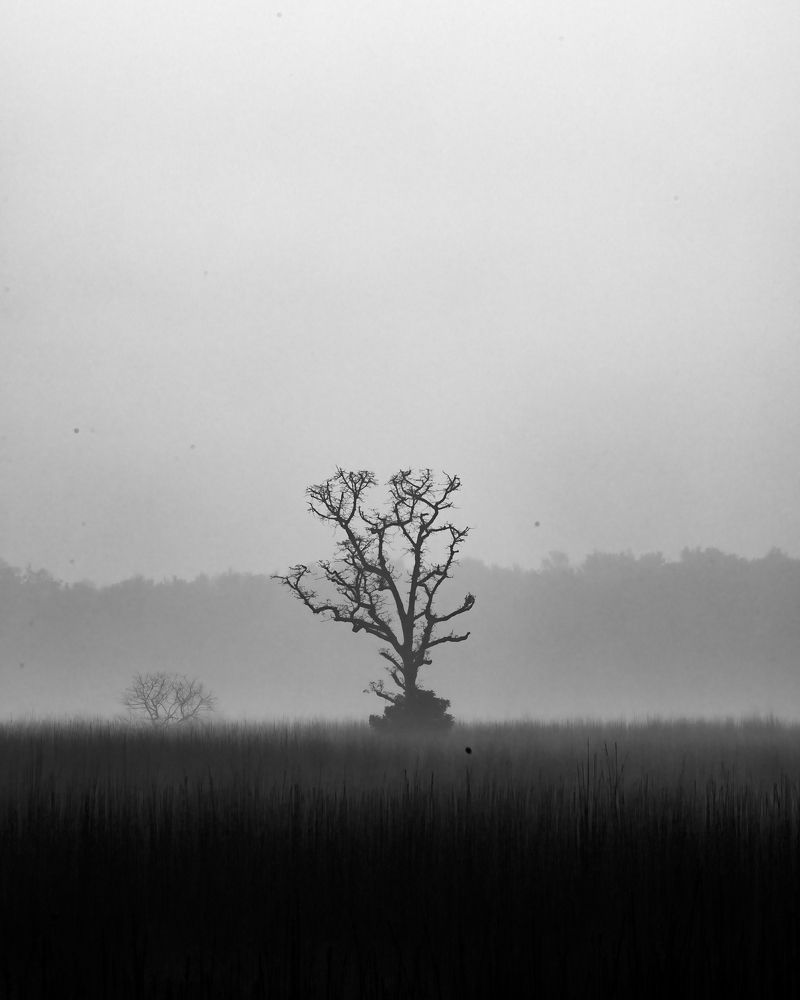 Photograph by Sai Kiran Bhagavatula