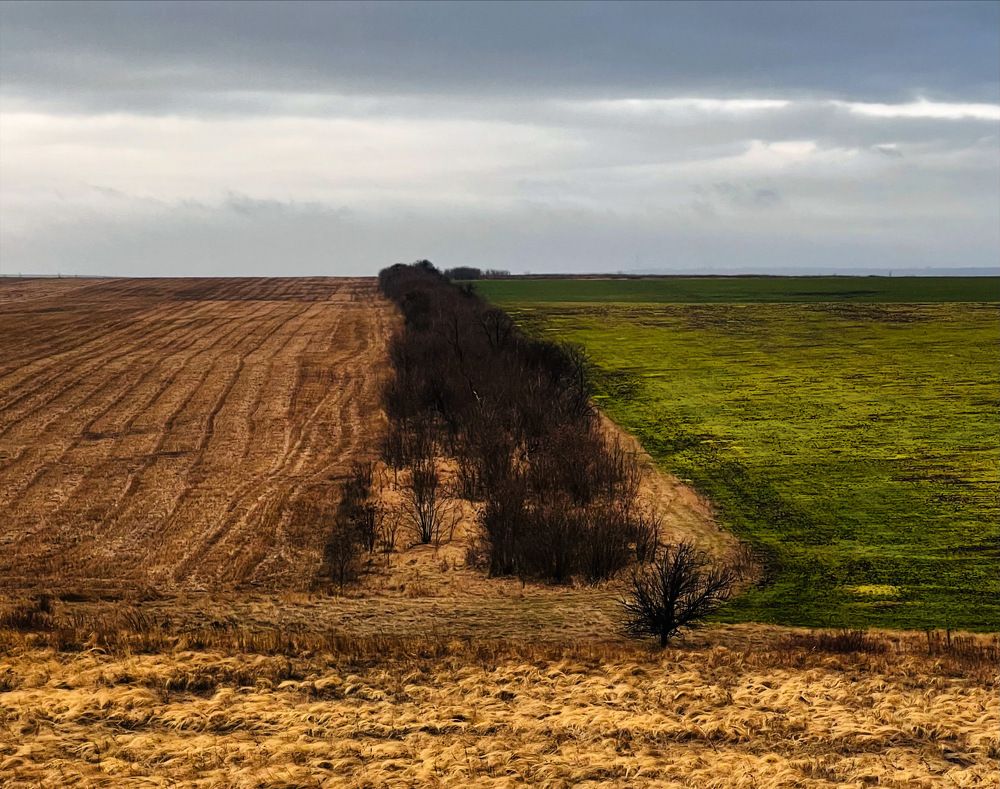 Photograph by Александр Истраткин