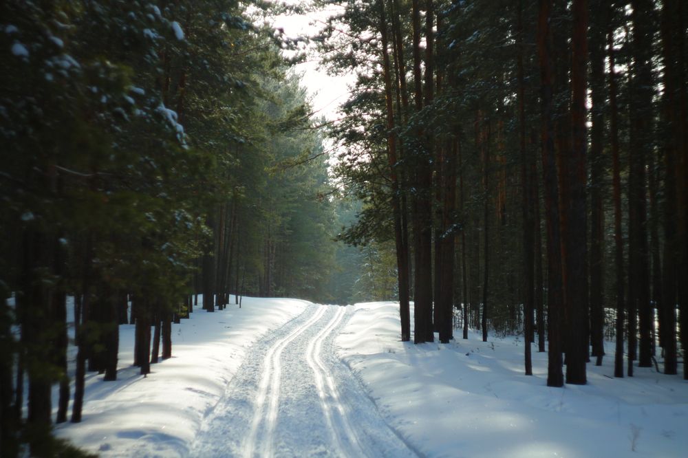 Photograph by Константин Михайлов