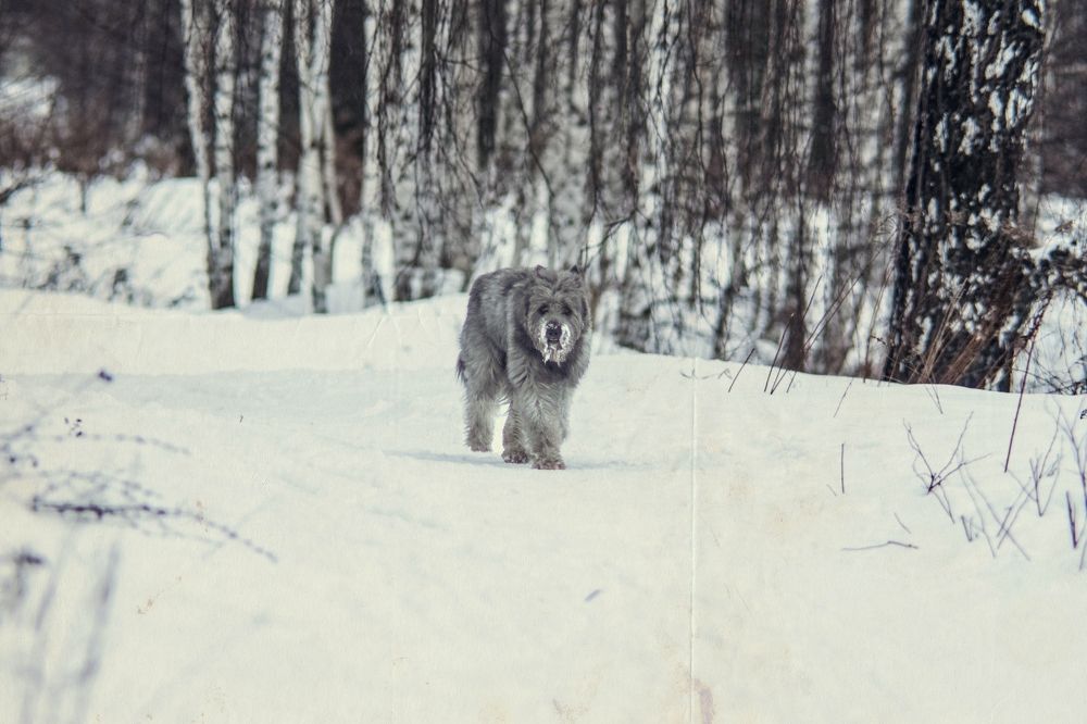 Photograph by Антон Гаврилов