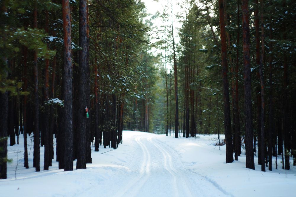 Photograph by Константин Михайлов