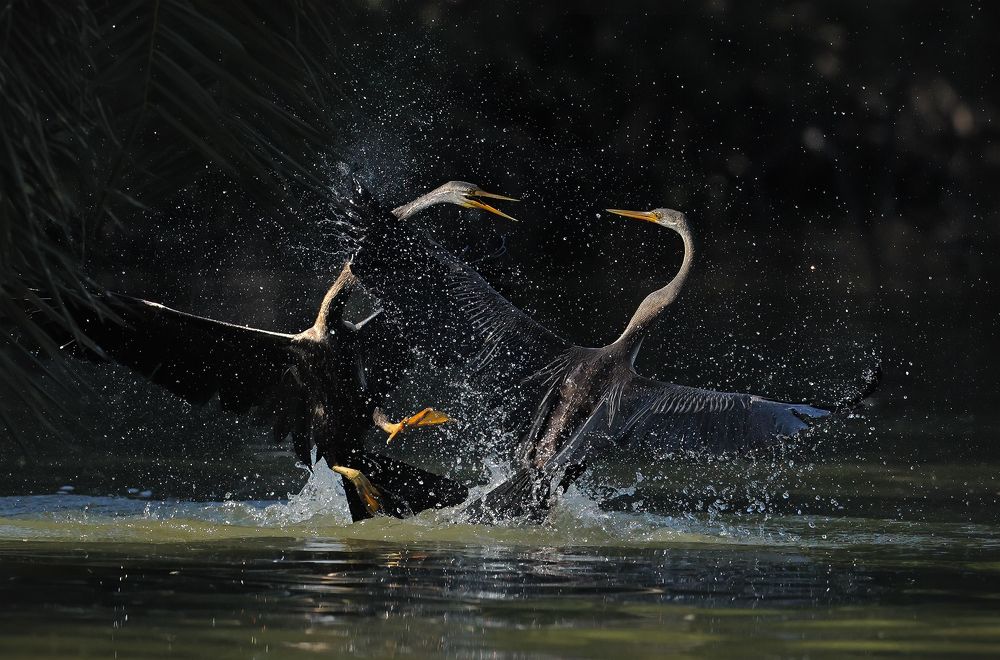 Photograph by nitin jain