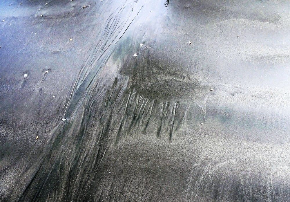 Фотография автора DENISE Monteiro de Lima Demange