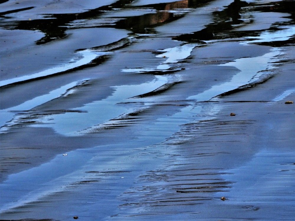 Фотография автора DENISE Monteiro de Lima Demange