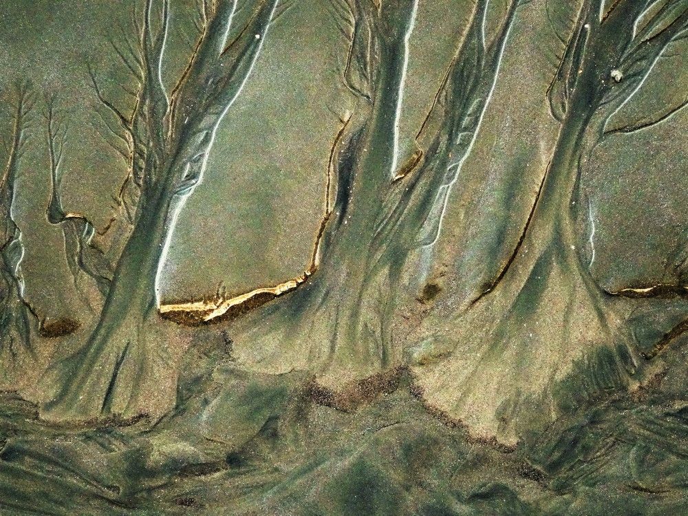 Фотография автора DENISE Monteiro de Lima Demange