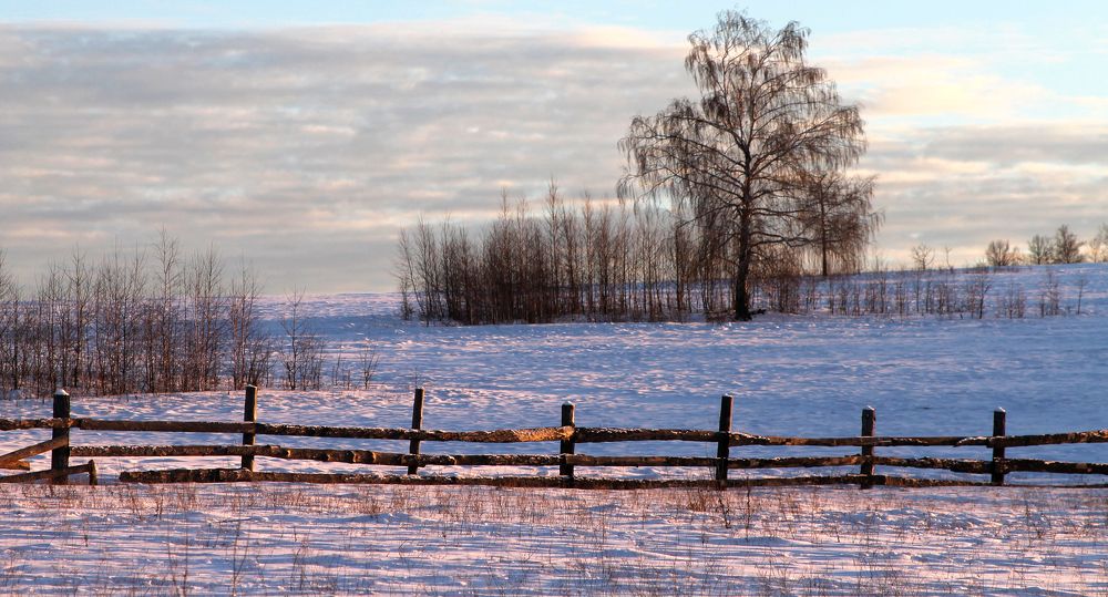Фотография автора Козельский Сергей