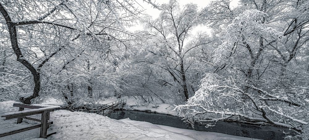 Photograph by Владимир Владимир