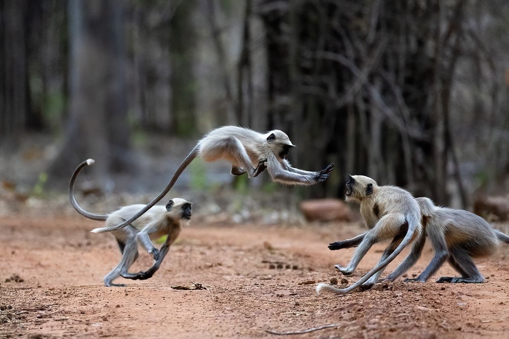 Photograph by nitin jain