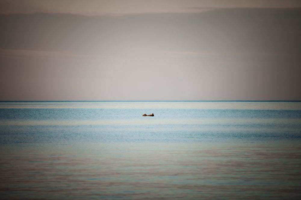 Photograph by Виктория Хадкевич