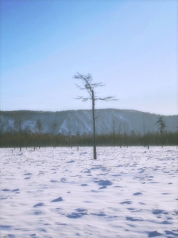 Photograph by Татьяна Казанкова