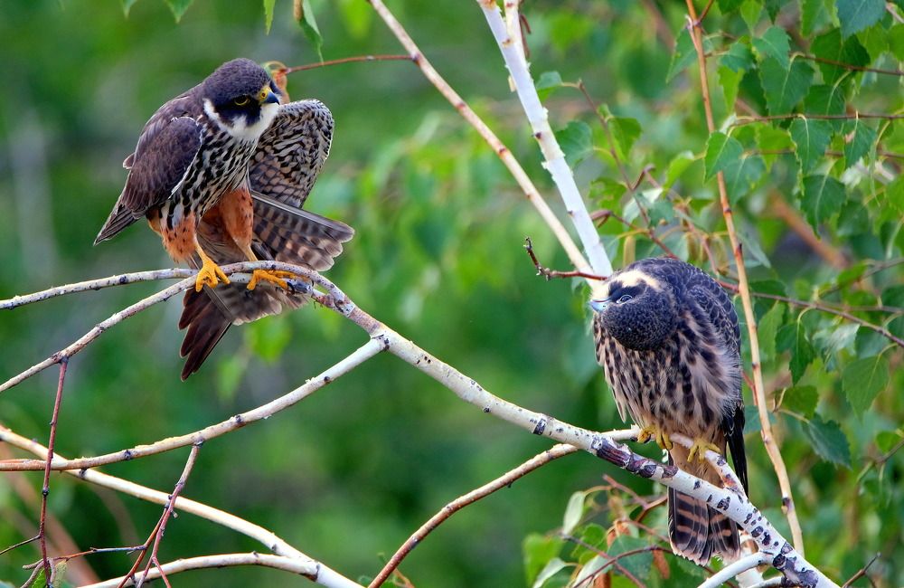 Photograph by ВАСИЛИЙ