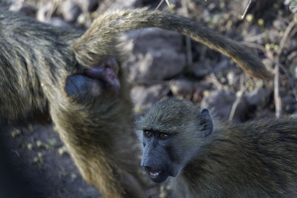 Photograph by Nodar Tvauri