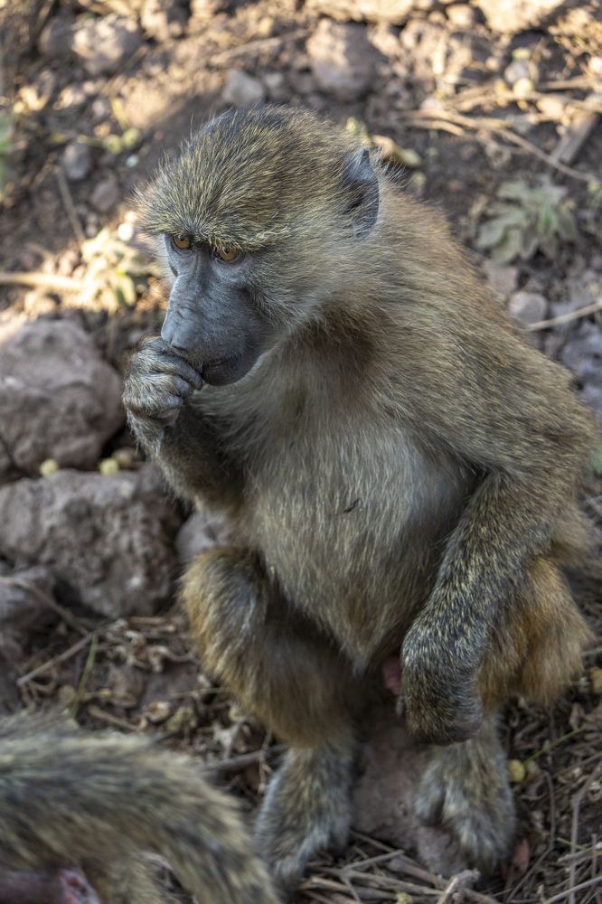 Photograph by Nodar Tvauri