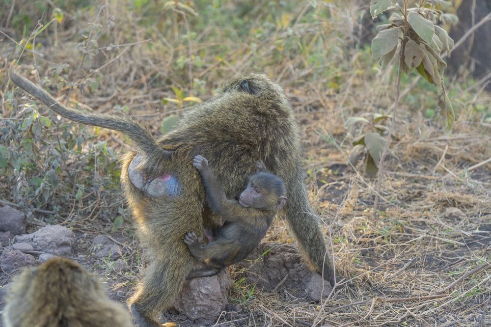 Photograph by Nodar Tvauri